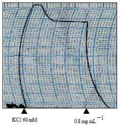 Image for - Spasmolytic Effect of Petroselinum crispum (Parsley) on Rat’s Ileum at Different Calcium Chloride Concentrations
