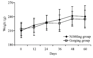 Image for - Effect of Nibbling and Gorging Dietary Regimens on Weight and Lipid  Profile in Rat