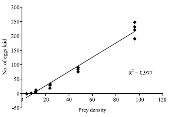 Image for - Functional and Numerical Responses of Stethorus gilvifrons Mulsant Feeding on Strawberry Spider Mite, Tetranychus turkestani Ugarov and Nikolski