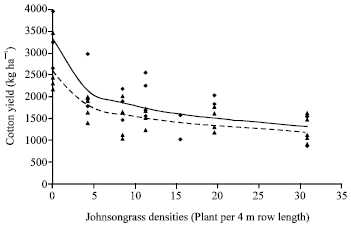 Image for - The Effect of Johnsongrass (Sorghum halepense (L.) Pers.) Densities on Cotton Yield