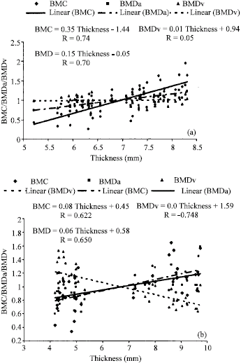 Image for - Influence of Bone Thickness on Densitometric and Ultrasonic Parameters, an in vivo Study