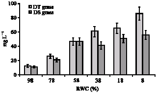 Image for - NThe Study of Desiccation-Tolerance in Drying Leaves of the Desiccation-Tolerant Grass Sporobolus elongatus and the Desiccation-Sensitive Grass Sporobolus pyramidalis