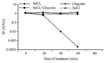 Image for - Effects of a Chayotte (Sechium edule) Extract (Macerated)  on the Biochemistry of Blood of Wistar Rats and on the Action Against  the Stannous Chloride Effect