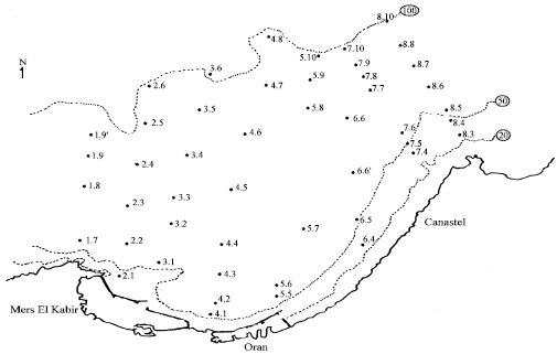 Image for - Distribution of Macrobenthos in the Coastal Waters in the Gulf of Oran (Western Algeria)