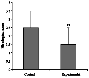 Image for - Effect of Sesame Oil on the Inhibition of Experimental Autoimmune Encephalomyelitis in C57BL/6 Mice