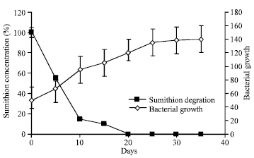 Image for - Anaerobic Biodegradation of Sumithion an Organophosphorus Insecticide Used in Burkina Faso Agriculture by Acclimatized Indigenous Bacteria