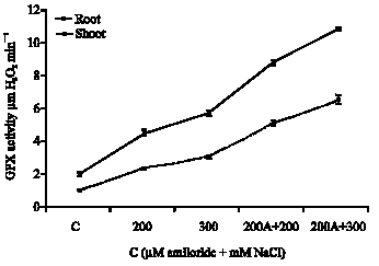 Image for - Amiloride Inhibition of Vacuolar Na+/H+ Antiporter Enhance Salt Stress in Zea mays L. Seedlings