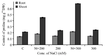 Image for - Salt Pretreatment Enhance Salt Tolerance in Zea mays L. Seedlings