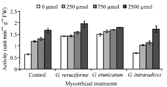 Image for - Effect of Cadmium Toxicity on the Level of Lipid Peroxidation and Antioxidative Enzymes Activity in Wheat Plants Colonized by Arbuscular Mycorrhizal Fungi