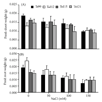 Image for - Response of Transgenic Rice at Germination and Early Seedling Growth Under Salt Stress