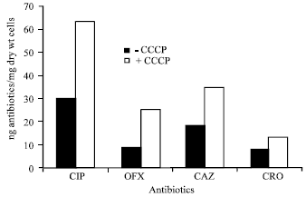Image for - Study of Antibiotic Resistance by Efflux in Clinical Isolates of Pseudomonas aeruginosa