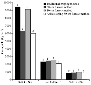 Image for - Effect of Salt Levels and Cropping Methods on Wheat Agronomic Characteristics