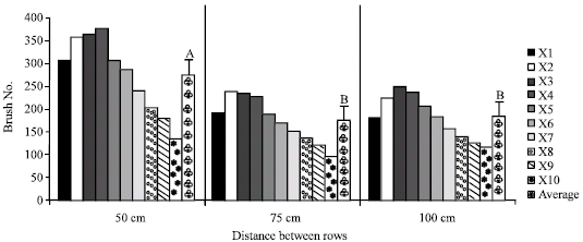 Image for - Row Distance Method Sowing of Forage Kochia, Eastern Saltwort and Winterfat