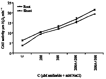 Image for - Amiloride Inhibition of Vacuolar Na+/H+ Antiporter Enhance Salt Stress in Zea mays L. Seedlings