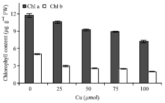 Image for - Physiological Effects of Copper on Some Biochemical Parameters in Zea mays L. Seedlings