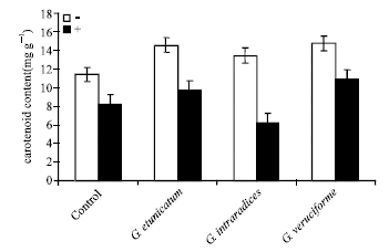 Image for - Influence of Ultraviolet-C Radiation on Some Growth Parameters of Mycorrhizal Wheat Plants