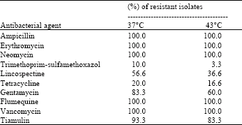 Image for - The Effect of Heat Stress on the Antibacterial Resistance and Plasmid Profile in Escherichia coli Isolates