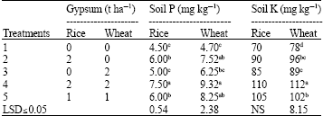 Image for - Effect of Variable Rates of Gypsum Application on Wheat Yield Under Rice-Wheat System
