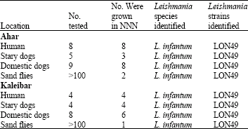 Image for - Practical Approach for Typing Strains of Leishmania infantum by Enzyme Polymorphism: A Cross Sectional Study in Northwest of Iran