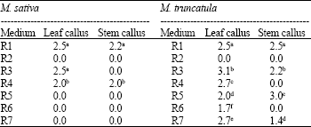 Image for - Comparison of Somatic Embryogenesis in Medicago sativa and Medicago truncatula 