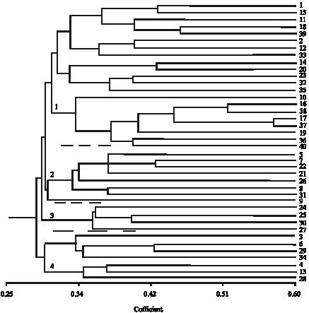 Image for - Phenotypic Diversity in Terminalia catappa from South Western Nigeria