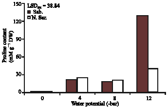 Image for - The Effect of Water Stress on the Antioxidant Content, Protective  Enzyme Activities, Proline Content and Lipid Peroxidation in Wheat Seedling