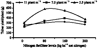 Image for - Effects of Different Plant Density and Nitrogen Application Rate on Nitrogen Use Efficiency of Potato Tuber
