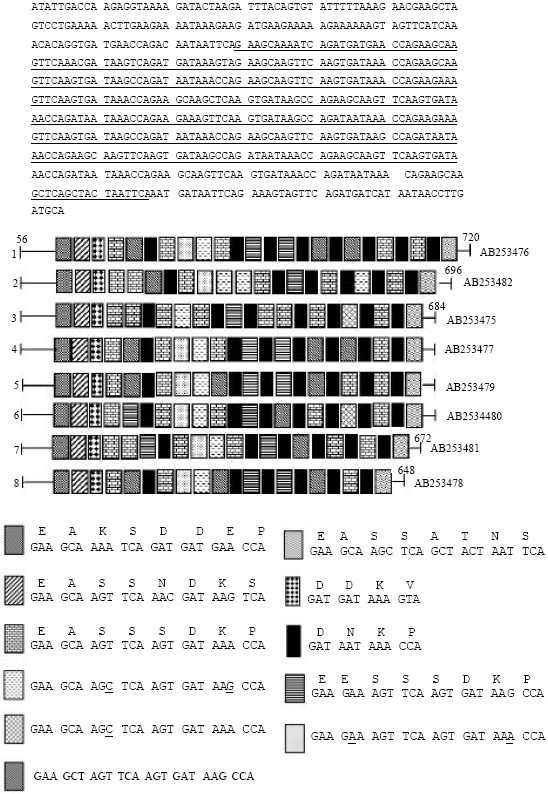 Image for - Entamoeba dispar: Genetic Diversity of Iranian Isolates Based on Serine-Rich Entamoeba dispar Protein Gene