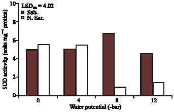 Image for - The Effect of Water Stress on the Antioxidant Content, Protective  Enzyme Activities, Proline Content and Lipid Peroxidation in Wheat Seedling