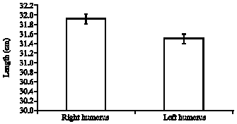 Image for - The Asymmetry in Length Between Right and Left Humerus in Humans