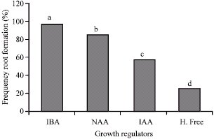 Image for - Effects of Genotype and AgNO3 on Shoot Regeneration in Winter Cultivars of Rapeseed (Brassica napus)