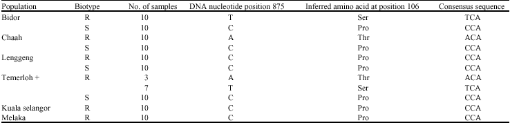 Image for - Nucleotide Variability in the 5-Enolpyruvylshikimate-3-Phosphate  Synthase Gene from Eleusine indica (L.) Gaertn