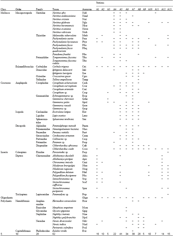 Image for - Taxonomic Diversity and Structure of Benthic Macroinvertebrates in Aby Lagoon (Ivory Coast, West Africa)