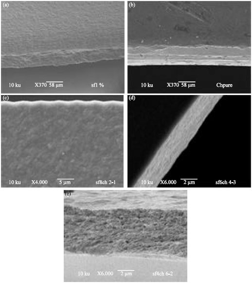 Image for - Influence of Philosamia ricini Silk Fibroin Components on Morphology, Secondary Structure and Thermal Properties of Chitosan Biopolymer Film
