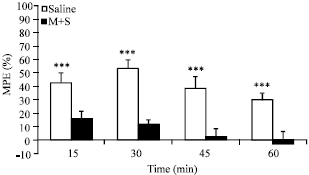 Image for - Development of Morphine Induced Tolerance and Withdrawal Symptoms is Attenuated by Lamotrigine and Magnesium Sulfate in Mice