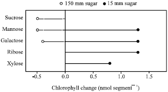 Image for - Sugar Regulation of Plastid Reversion in Citrus Epicarp is Mediated through Organic Acid Metabolism