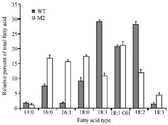 Image for - Growth Temperatures and Various Concentrations of Ricinoleic Acid Affect Fatty Acid Composition in Two Strains of Hansenula polymorpha