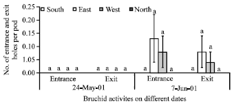 Image for - Do Cardinal Directions in Different Acacia Tree Species Affect Biological  Activities of Bruchid Beetle, Bruchidius buettikeri Decelle (Bruchidae:  Coleoptera), in Riyadh Region, Saudi Arabia