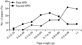 Image for - Weight Differences of Male and Female Pupae of Gypsy Moth (Lymantria dispar) and Host-Sex Preference by Two Parasitoid Species Lymantrichneumon disparis and Exorista larvarum