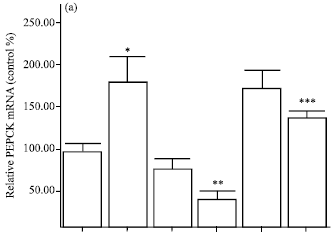 Image for - Plasma Glucose Lowering Effect of the Wild Satureja khuzestanica Jamzad Essential Oil in Diabetic Rats: Role of Decreased Gluconeogenesis