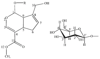 Image for - Isolation of Antifungal Compounds from Gardenia jasminoides