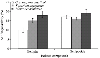 Image for - Isolation of Antifungal Compounds from Gardenia jasminoides