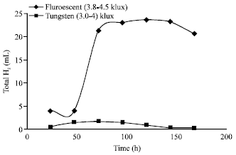 Image for - The Effect of Aeration, Agitation and Light on Biohydrogen Production by Rhodobacter sphaeroides NCIMB 8253