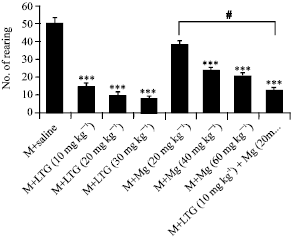 Image for - Development of Morphine Induced Tolerance and Withdrawal Symptoms is Attenuated by Lamotrigine and Magnesium Sulfate in Mice