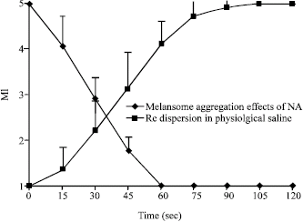 Image for - Postsynaptic Alpha 2-Adrenoceptors Mediate Melanosome Aggregation in Melanophores of the White-Spotted Rabbitfish (Siganus canaliculatus)