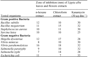 Image for - In vitro Antimicrobial and Cytotoxic Activities of Leaves  and Flowers Extracts from Lippia alba