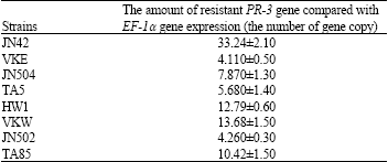 Image for - Specific Maceration and Induction of PR-3 Gene in Potato Tuber Tissue  by Pectobacterium carotovorum subsp. Atrosepticum Type III Secretion  System Mutants
