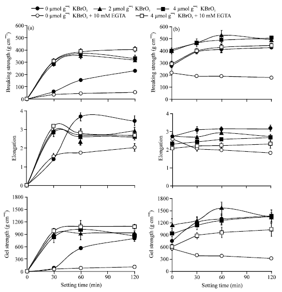 Image for - Effect of KBrO3 on Gel-forming Properties of Walleye Pollack Surimi through Setting with or without Transglutaminase Inhibitor