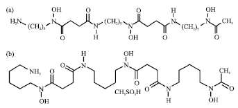 Image for - Production of Desferrioxamine B (Desferal) using Corn Steep Liquor in Streptomyces pilosus