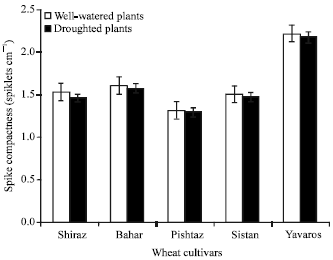Image for - Effect of Defoliation and Drought Stress on Yield Components and Chlorophyll Content of Wheat